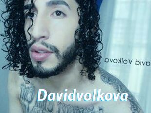 Davidvolkova