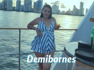 Demibarnes