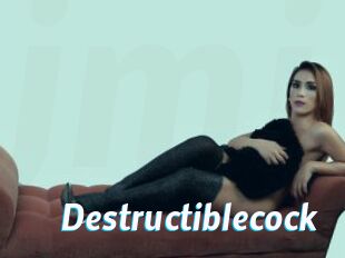 Destructiblecock