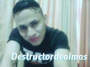 Destructordealmas