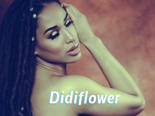 Didiflower