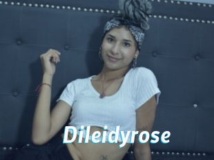 Dileidyrose