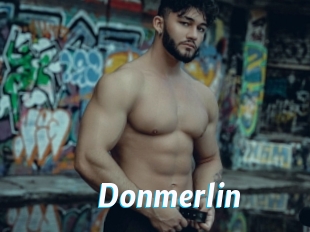 Donmerlin