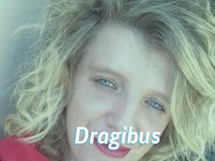 Dragibus