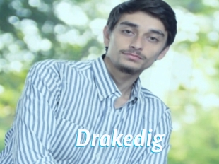 Drakedig