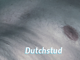 Dutchstud