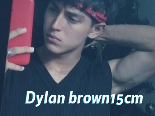 Dylan_brown15cm