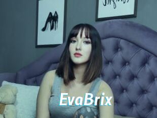 EvaBrix