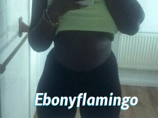Ebony_flamingo