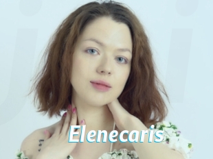 elenecaris J Mine