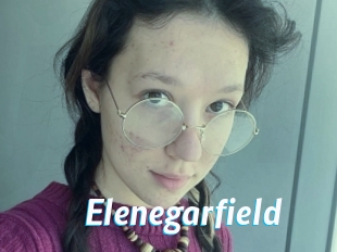 Elenegarfield