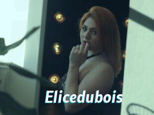 Elicedubois
