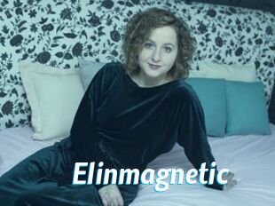 Elinmagnetic