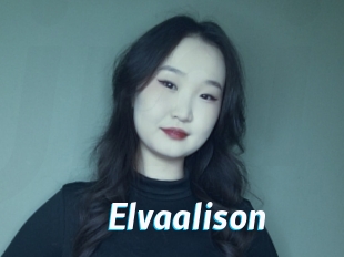 Elvaalison