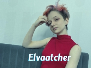 Elvaatcher