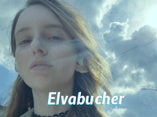 Elvabucher