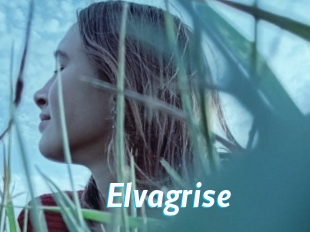Elvagrise