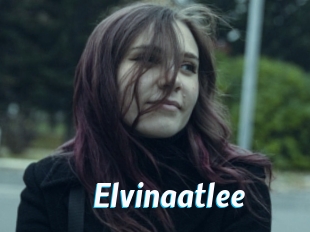 Elvinaatlee