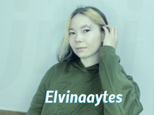 Elvinaaytes