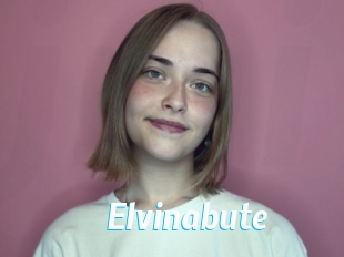 Elvinabute