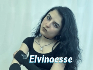 Elvinaesse
