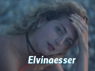 Elvinaesser