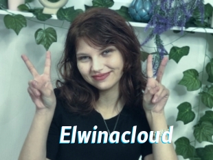 Elwinacloud