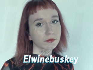 Elwinebuskey