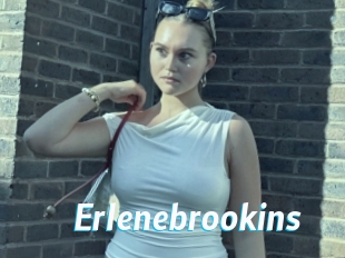 Erlenebrookins