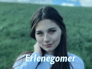 Erlenegomer