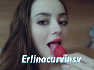 Erlinacurvinsv