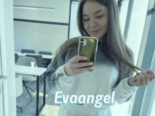 Evaangel