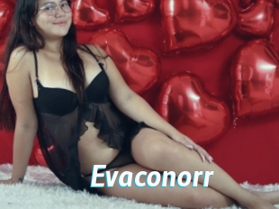 Evaconorr