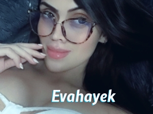 Evahayek