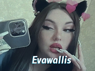 Evawallis