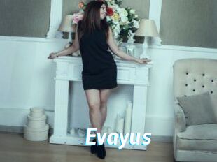 Evayus