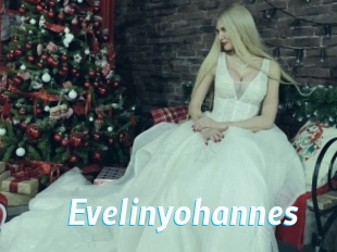 Evelinyohannes