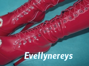 Evellynereys