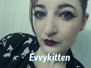 Evvykitten