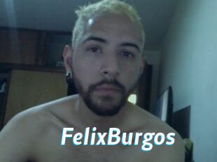 FelixBurgos
