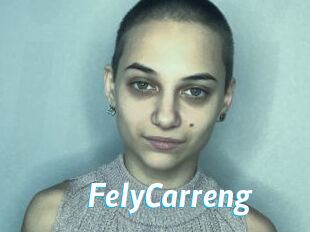 FelyCarreng J Mine
