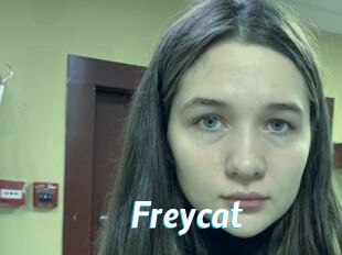 Freycat