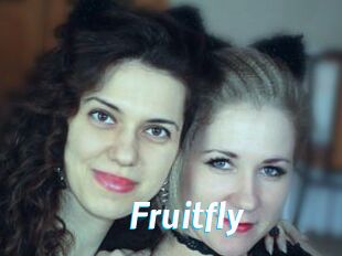 Fruitfly
