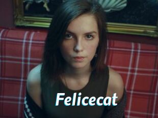 Felicecat
