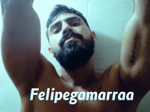 Felipegamarraa