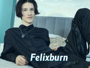 Felixburn