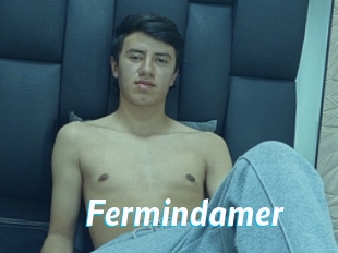 Fermindamer