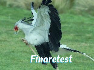 Finaretest