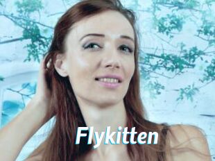 Flykitten