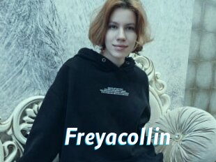 Freyacollin